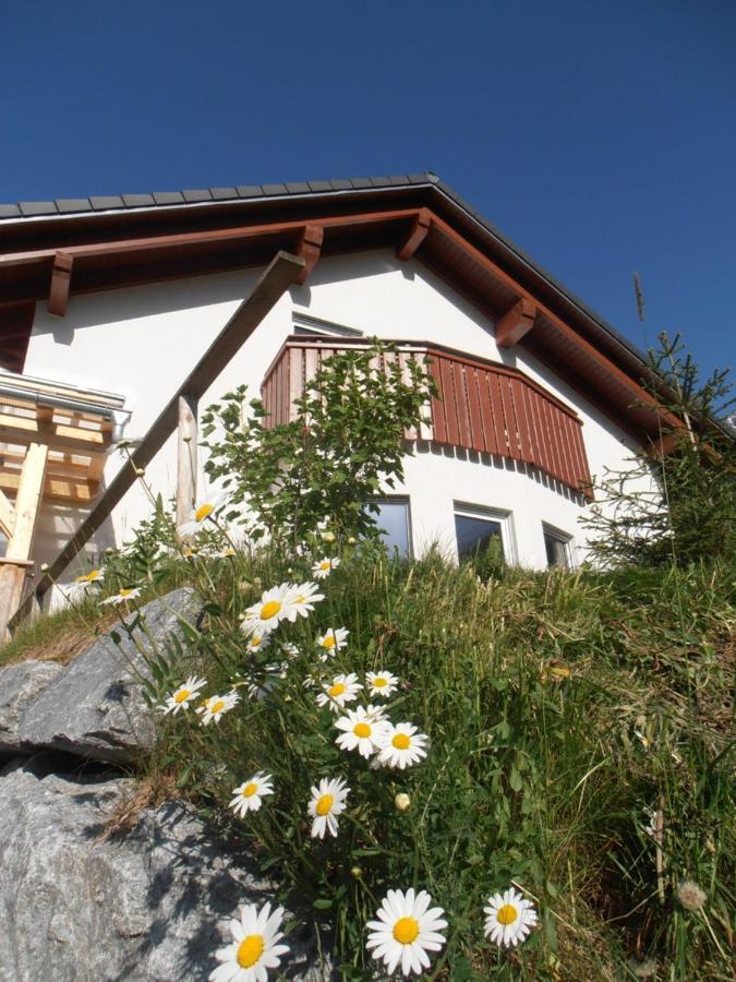 Arlalpin Appartement Pettneu am Arlberg Buitenkant foto
